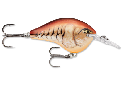 Rapala DT Series Crankbait DT6