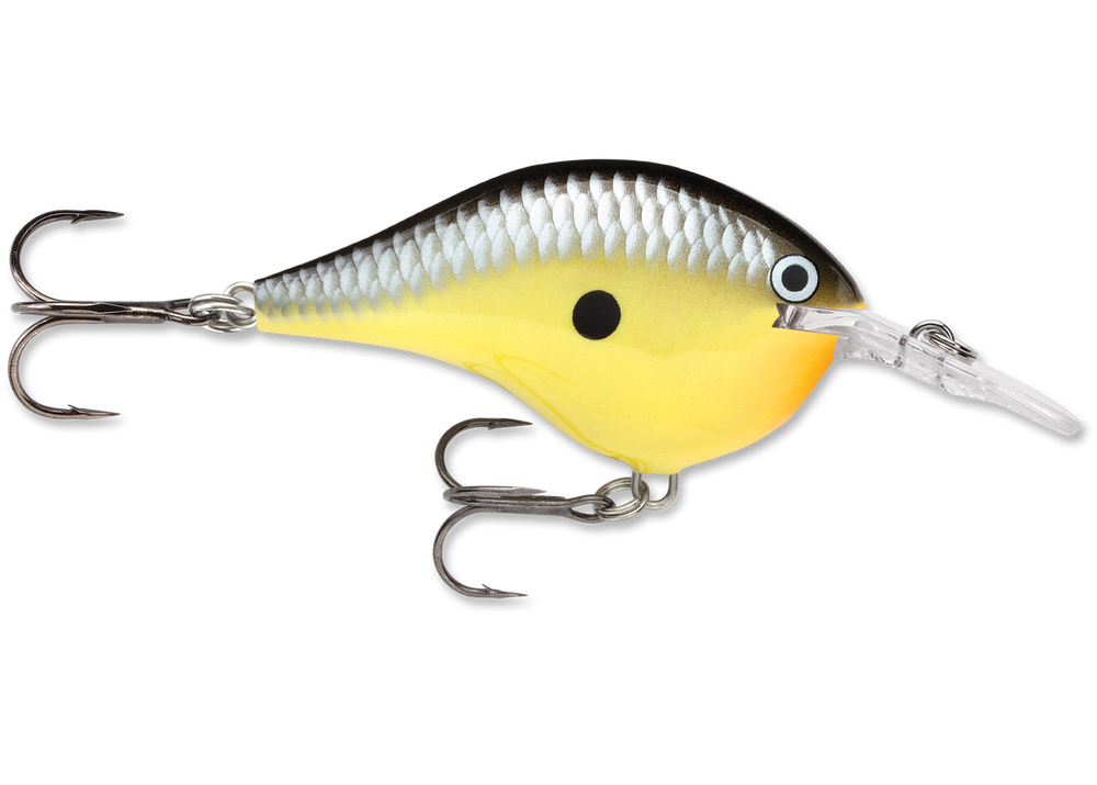 Rapala DT Series Crankbait DT6