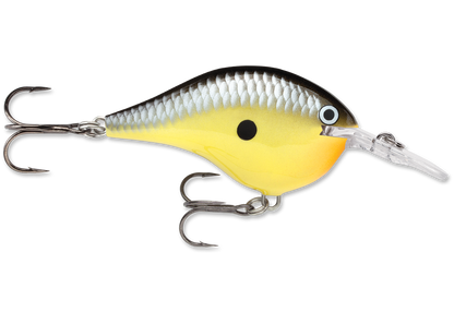 Rapala DT Series Crankbait DT6