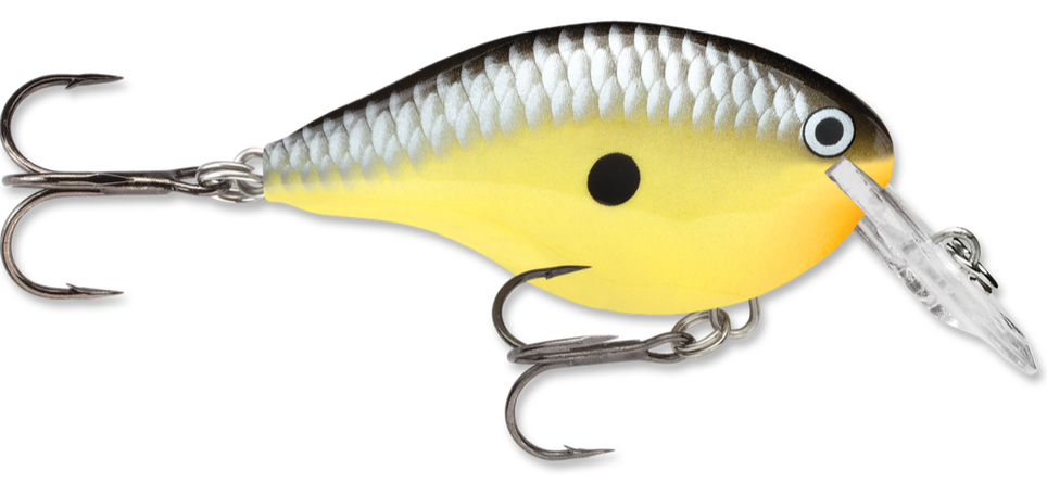 Rapala DT Series Crankbait DT4