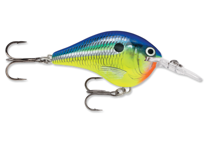 Rapala DT Series Crankbait DT6
