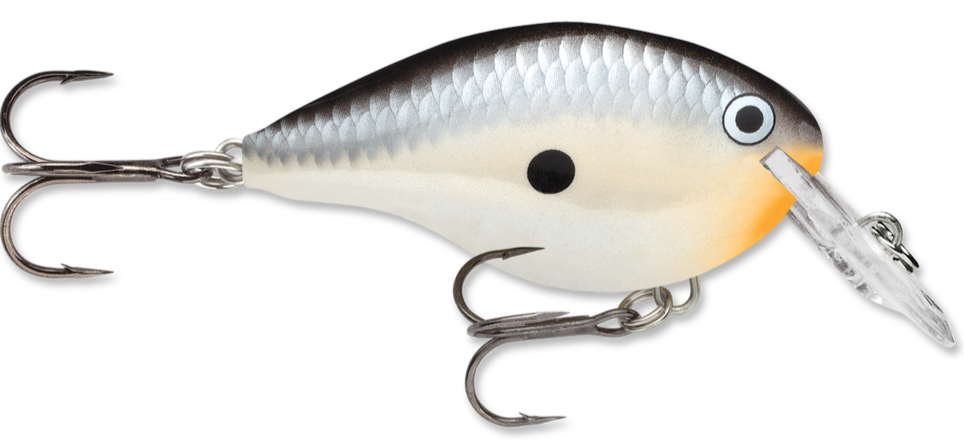 Rapala DT Series Crankbait DT4