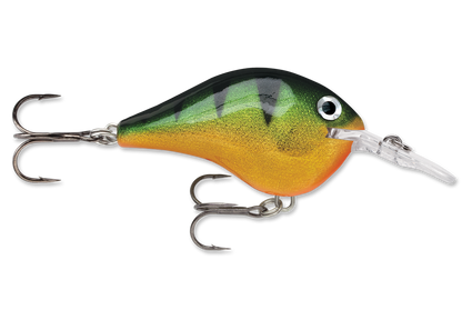 Rapala DT Series Crankbait DT6