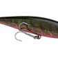 Strike King KVD 200 Series 4 1/2 inch Suspending Medium Jerkbait