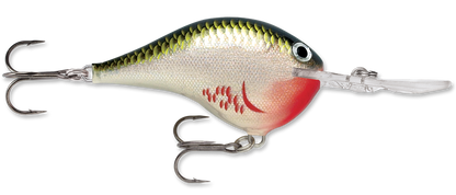 Rapala DT Series Crankbait DT10