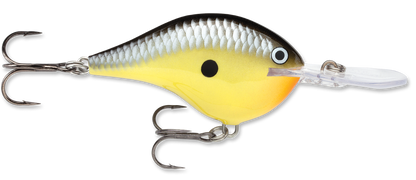 Rapala DT Series Crankbait DT10