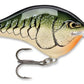 Rapala DT Series Crankbait DT14