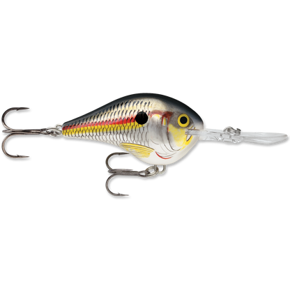 Rapala DT Series Crankbait DT10