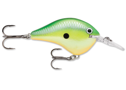 Rapala DT Series Crankbait DT6