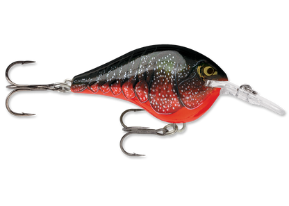 Rapala DT Series Crankbait DT6
