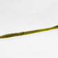 Zoom Trick Worm 6 1/2 inch Soft Plastic Worm 20 pack