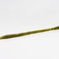 Zoom Trick Worm 6 1/2 inch Soft Plastic Worm 20 pack