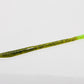 Zoom Trick Worm 6 1/2 inch Soft Plastic Worm 20 pack