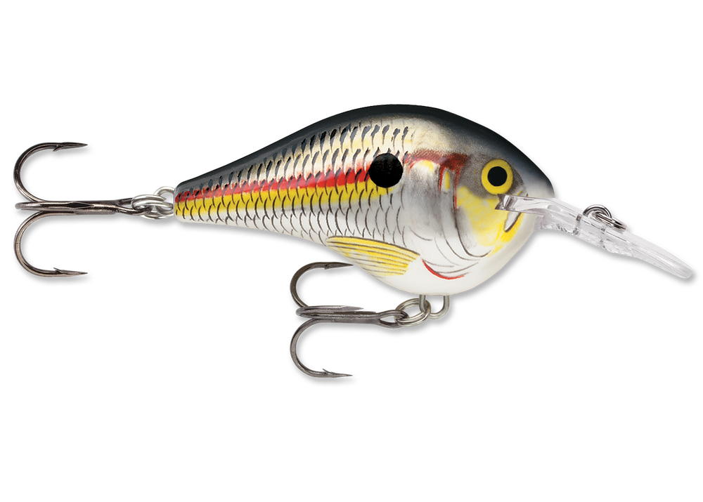 Rapala DT Series Crankbait DT6