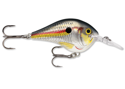 Rapala DT Series Crankbait DT6
