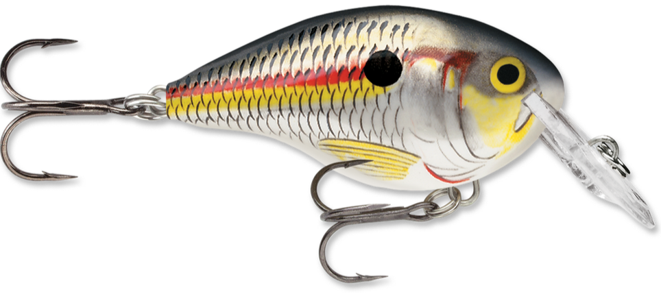 Rapala DT Series Crankbait DT4