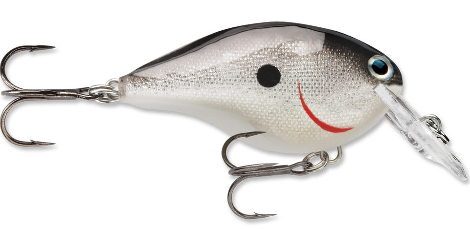 Rapala DT Series Crankbait DT4