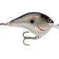 Rapala DT Series Crankbait DT6