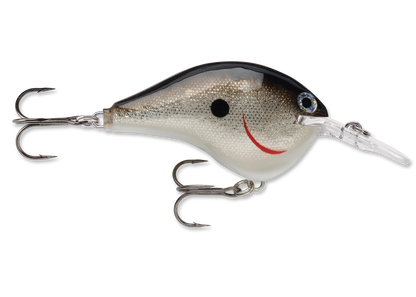 Rapala DT Series Crankbait DT6