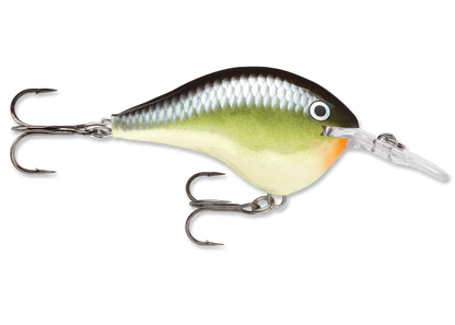 Rapala DT Series Crankbait DT6