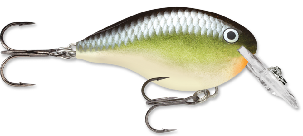 Rapala DT Series Crankbait DT4