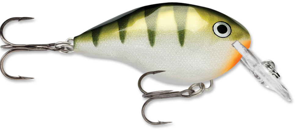 Rapala DT Series Crankbait DT4