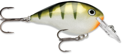 Rapala DT Series Crankbait DT4